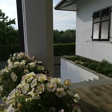 Πανσιόν Flora