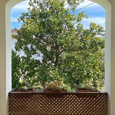 Πανσιόν Flora Luni