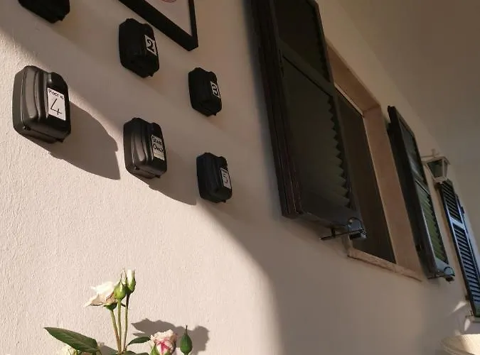 Flora 게스트하우스 *